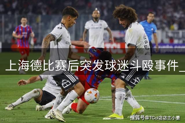 上海德比赛后突发球迷斗殴事件 4名涉事男子被刑拘